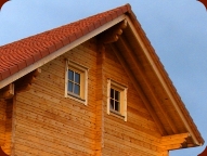 Construction de chalet en bois