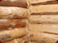 techniques de construction bois : maison en fuste